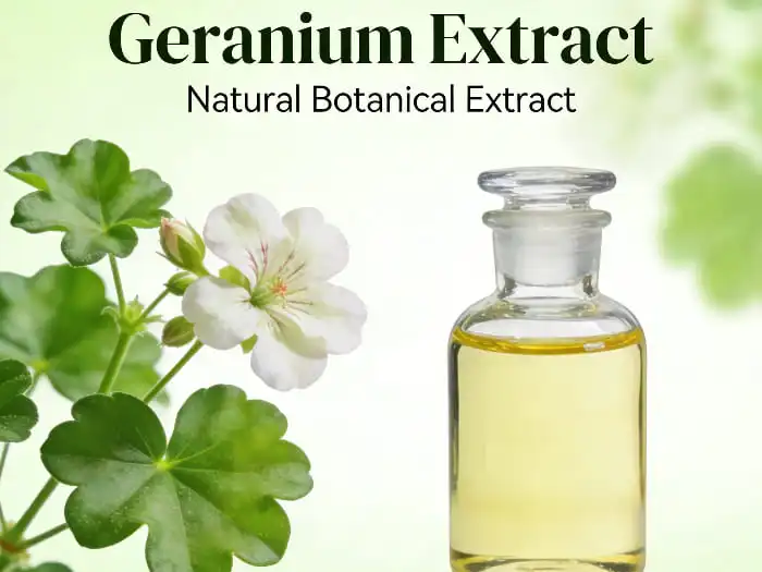 What is Geranium Extract?